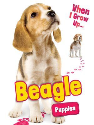 Beagle Puppies - ebook